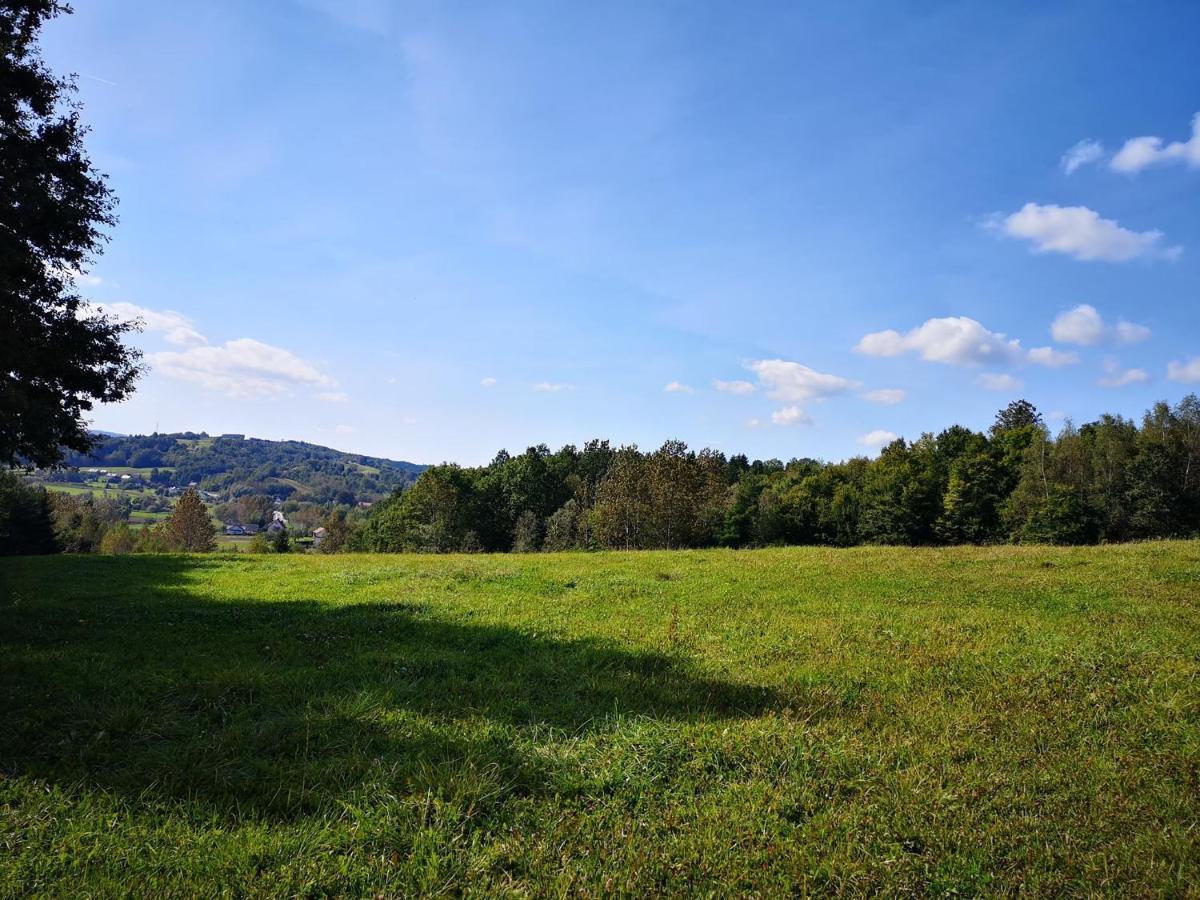 Zamek Ostrowski Villa Chojnik Kültér fotó